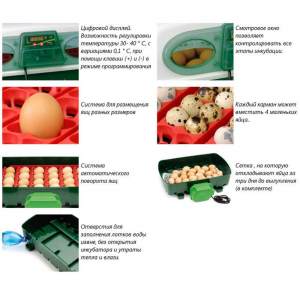 Инкубатор ET 24 (Covina Super) автоматический
